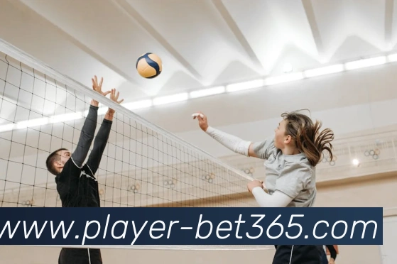 bet365平台生态图